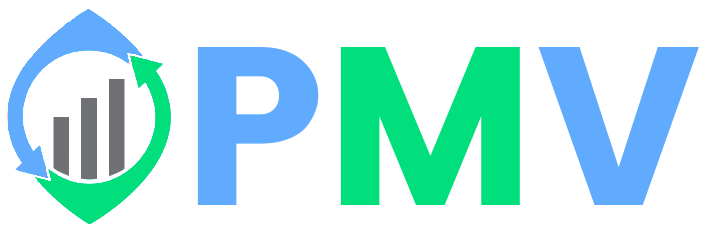 PMV Management Consulting